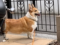 IMG_0352.jpg