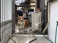IMG_0605.jpg