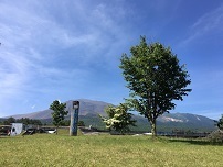 IMG_0705.jpg