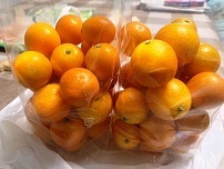 IMG_1075.jpg