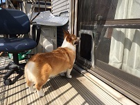 IMG_1733.jpg