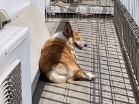 IMG_1820.jpg