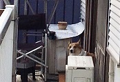 IMG_3411.jpg