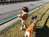 IMG_3935.jpg