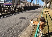 IMG_3938.jpg