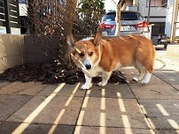 IMG_4209.jpg