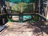 IMG_5419.jpg