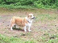 IMG_6262.jpg