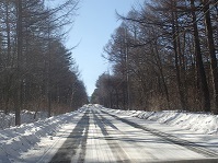P2040001.JPG